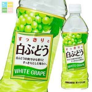 TKA ƔԂǂ500ml×2P[XiS48{j 