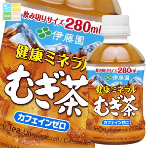 ɓ N~lނiJtFC[j280ml×3P[XiS72{j 