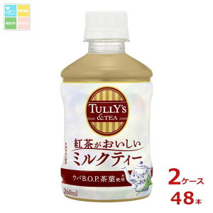 ɓ ^[Y&TEA g~NeB[260ml×2P[XiS48{j