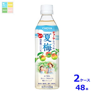 �`���[�� �Ĕ~500g×2�P�[�X�i�S48�{�j��������