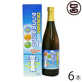 OKINAWA サンゴカルシウム 720ml×6本 沖縄土産 沖縄 土産 子供 パイン風味 人気 ドリンク