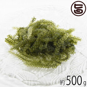 Y Ai E CԂǂ IW[̖ 500g  yY  lC