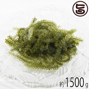 Y Ai E CԂǂ IW[̖ 1500g  yY  lC