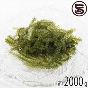 Y Ai E CԂǂ IW[̖ 2000g  yY  lC