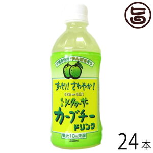 RV[N[T[ J[u`[hN 350ml×24{(1P[X)  lC 썑t[c NǗ V[N[T[ mr`