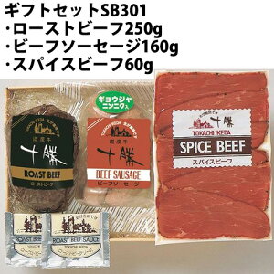 Mtg Zbg SB301([Xgr[tEr[t\[Z[WEXpCXr[t) kC lC Mtg 蕨