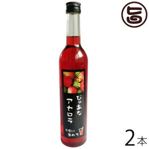 �҂゠�ȃA�Z���� 500ml×2�{ ���� �y�Y �썑�t���[�c ������ �l�C �r�^�~��C