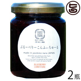 堀うち農園 ぶるーべりーこんふぃちゅーる 140g×2瓶 奈良県 人気 土産 奈良県産 国産 完熟 無添加 ブルーベリーコンフィチュール
