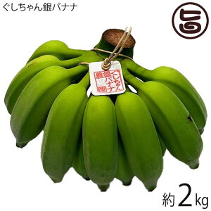 もっちり ぐしちゃん銀バナナ 約2kg 実14本前後 沖縄県八重瀬町産 有機栽培 無農薬