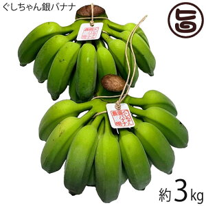 もっちり ぐしちゃん銀バナナ 約3kg 実20本前後 沖縄県八重瀬町産 有機栽培 無農薬