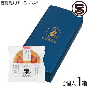 gَqX ۂځ[ C`S 25g×5 1  yY Ăَq 育 {[ hCgbsO