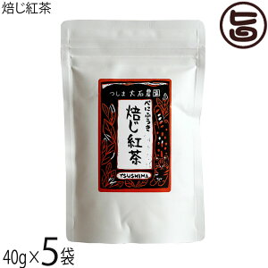 ܑΔ_ g 40g×5  ΔnsYׂɂӂ [JtFC