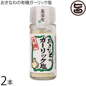 島酒家 旨いもんハンター一押し おきなわのガーリック塩 23g×2本 沖縄 土産 人気 調味料 にんにく 塩 無添加