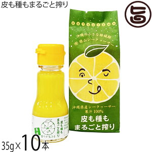 RV[N[T[ ܂邲ƍ 35g×10{  yY V[N[T[t W[X mr`