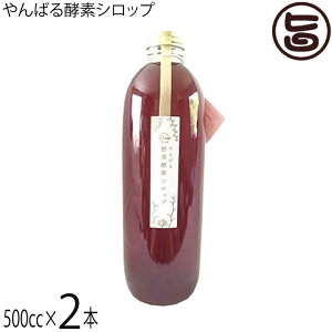 X_ ΂yfVbv 500cc×2{