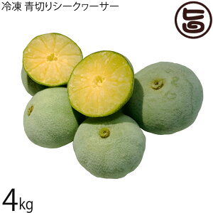 T`Ch_ Ⓚ ؂V[N[T[ 4Kg  XY