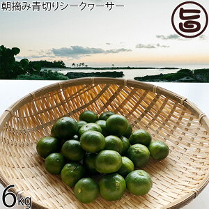 T`Ch_ Eݐ؂V[N[T[ 6kg(240`330)