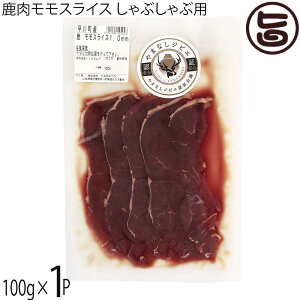 WrG XCX Ԃԗp 1.0mmXCX 100g×1P R 쒬Y