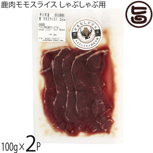 WrG XCX Ԃԗp 1.0mmXCX 100g×2P R 쒬Y