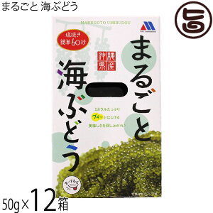 bNC^[iVi ܂邲 CԂǂ 50g×12