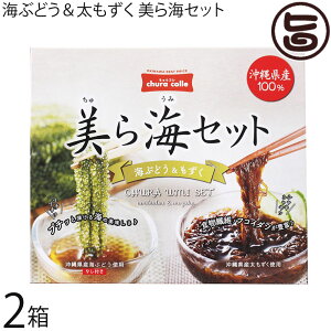 bNC^[iVi CԂǂ CZbg 2ꌧY ȒP