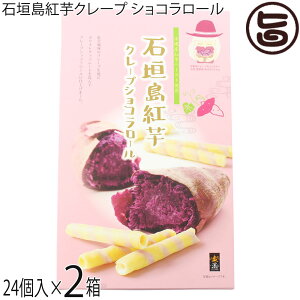 앗 Ί_gN[v VR[  24×2