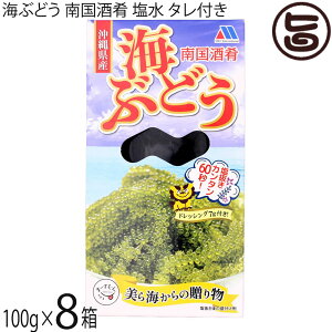 bNC^[iVi 썑 CԂǂ ^t 100g×8 ꌧY