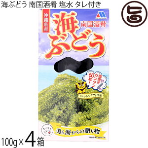 bNC^[iVi 썑 CԂǂ ^t 100g×4 ꌧY