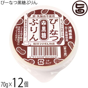 肸񕨎Y ҁ[ȂՂ 70g×12Zbg