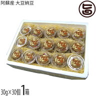 阿蘇おふくろ工房 阿蘇産 大豆納豆 (30g×30個)×1箱 熊本県