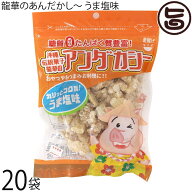 龍華のあんだかし〜 うま塩味 70g×20袋 油かす 糖質ゼロ 沖縄 人気 糖質制限 健康管理 MEC食 土産 アン…