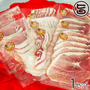 Jl}T~[g Mtg pCibv|[N  ԂԐHה׃Zbg ([XEoE) e600g MtgZbg