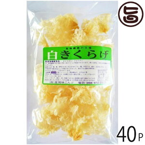 Ԗ 炰 50g×40P  yY lC LNQ LNQ ؎ R[Q h{Lx