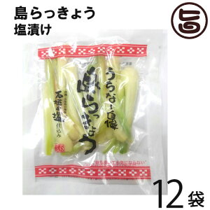 ꌧY 傤Ђ 50g×12 łt[Y ꌧY  C`IV ܂