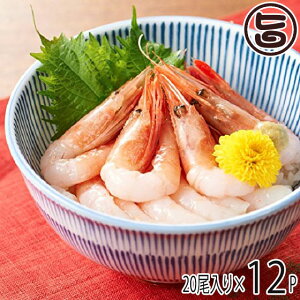 Hp Â L ނ 2L(13.5`14.5cm) 20×12P ÃGr CV {錧 k x VN CV lC