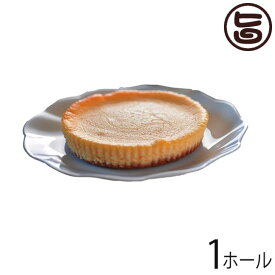 最高級チーズケーキ 月のシンフォニ～交響曲～ 1ホール(直径12cm・220g) カスターニャ 広島 土産 スイーツ 人気 ケーキ