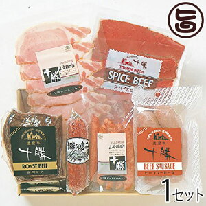 Mtg Zbg TIK51([Xgr[tE\tgT~EEBi[Er[t\[Z[WE[XnEXpCXr[t) kC lC Mtg 蕨