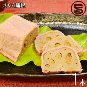 cX @ () 1{ F{ 炵@̂悤 񂱂̌ɃAWAXpCXl߂ς F{ yY lC