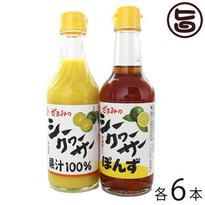 Ԗ YV[N[T[ʏ`100%EV[N[T[|| ×e6{ hZNV܎  yYɂ mr`