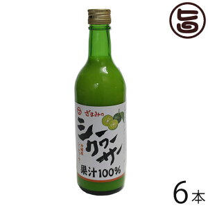 Ԗ YV[N[T[ 500ml×6{  yY lC ʏ`100% Xg[g^Cv W[X mr`