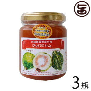 ̂WH[ W Oo 140g×3r  yY gsJW NHŒڂ̃OoƃV[NT[̃W p yY