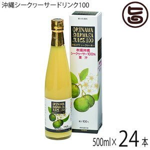オキハム オキナワ シークヮーサージュース100%果汁 500ml×24本 沖縄 土産 南国フルーツ シークワーサー ノビレチン