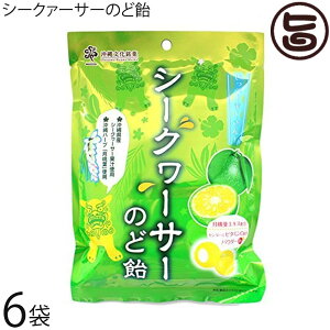 ILR V[N@[T[̂ǈ 70g×6 ꌧYV[N[T[ yY  yY َq LfB[