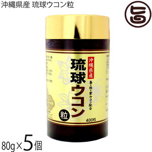 ER̔ ꌧY ER 80g(200mg×400)×5