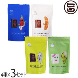 豊上製菓 チョコクランチシリーズ 4種×3セット バレンタイン おもしろ 義理 チョコ バラマキ 個包装