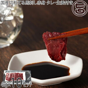 Mtg tW`N Y ؂Ănh Ԑg 40g×10P ^EIt F{ yY lC n J[ ᎉ p 蕨