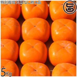 y929`115 oׁzx_ ʍ͔| ˂Ȃ` Ai 19`30ʓ 5kg