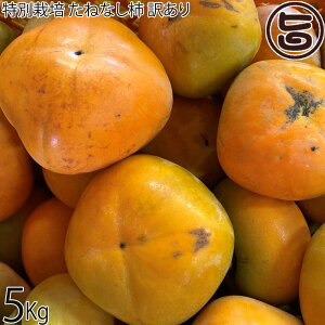 y929`115 oׁzx_ ʍ͔| ˂Ȃ` Bi TCYs 5kg