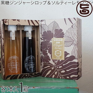 WW[Vbv Mtg Ί_ 䂫̍WW[VbvE\eB[WW[Vbv (120ml×e1{)×1