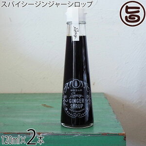 WW[Vbv Ί_ 䂫̃XpCV[WW[Vbv 120ml×2{